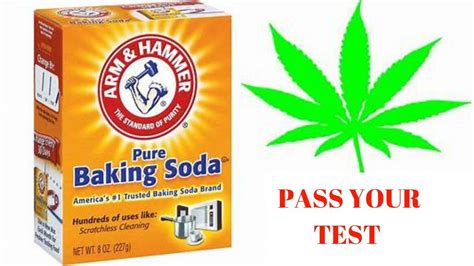 Baking soda instructions for drug test. Things To Know About Baking soda instructions for drug test. 